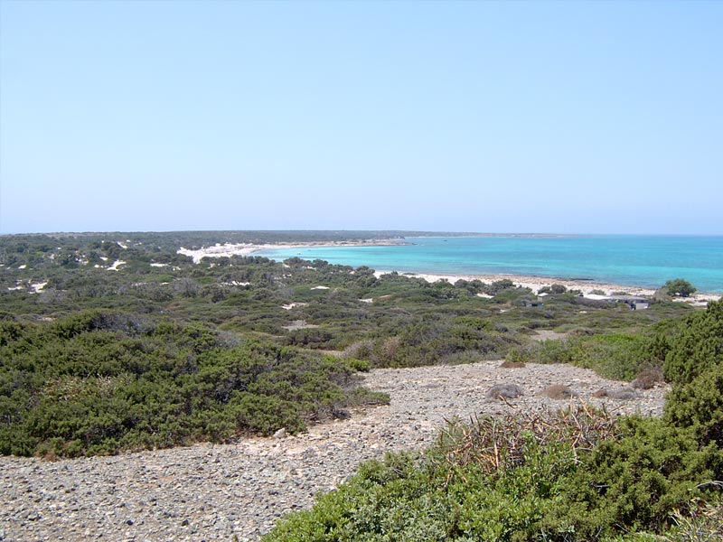 Γαϊδουρονήσι (Χρυσή) Γαϊδουρονήσι (Χρυσή)